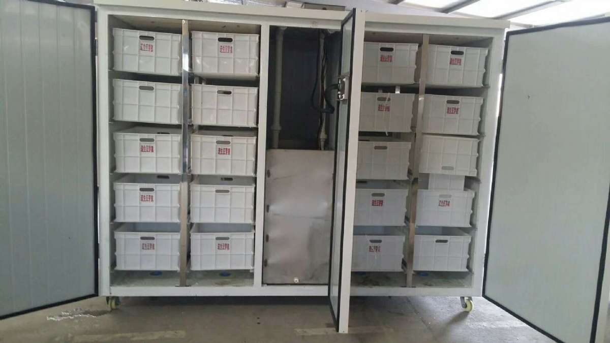 600斤豆芽机发往菏泽