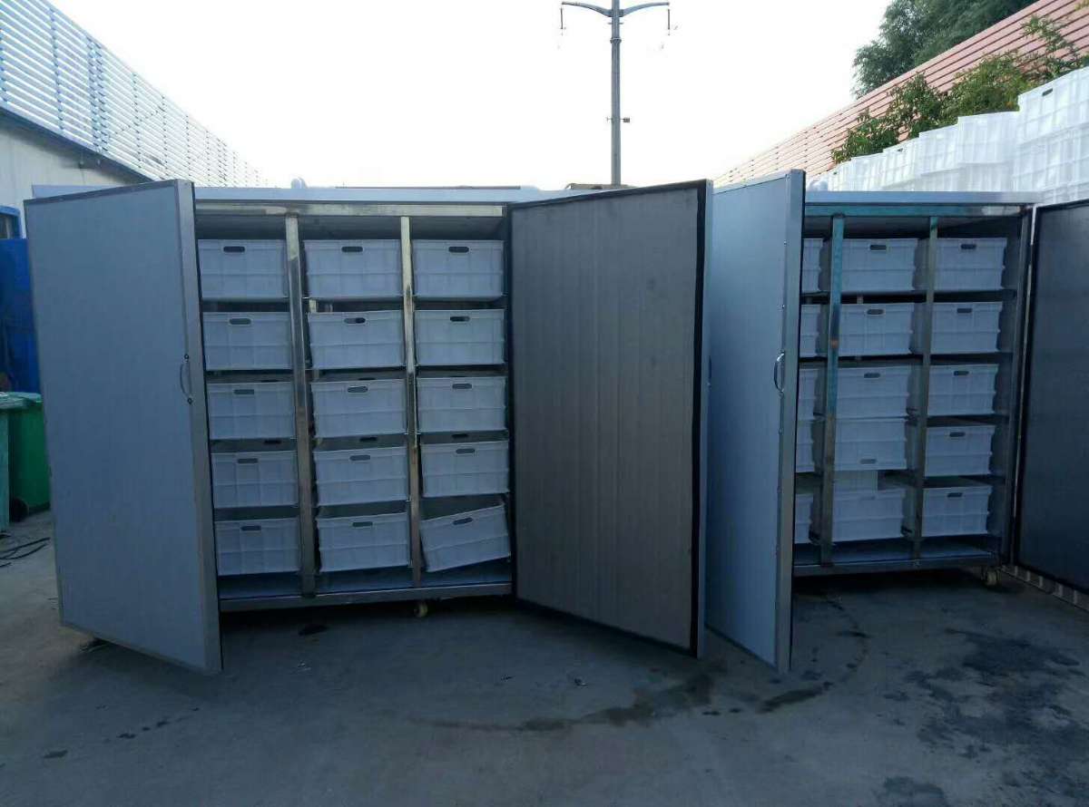 2台1200斤不锈钢豆芽机发黑龙江