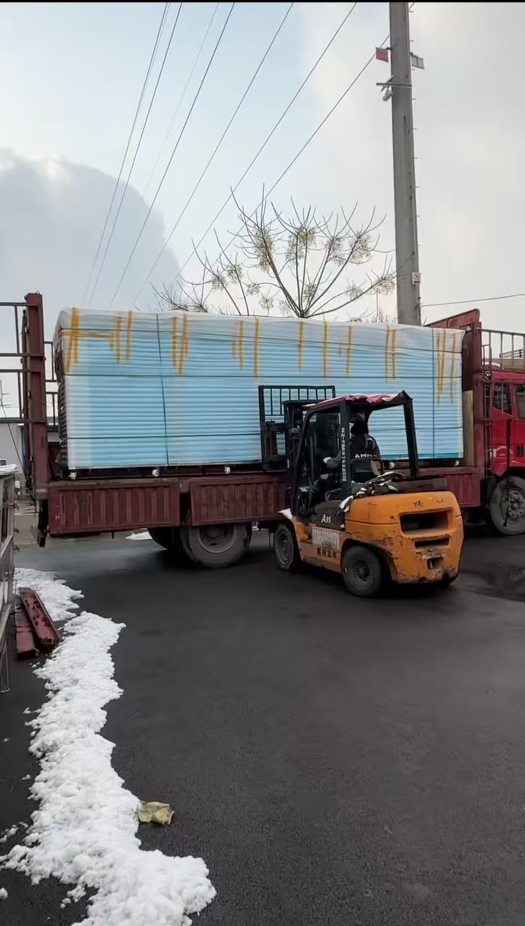 日产2000斤的豆芽机发货中！